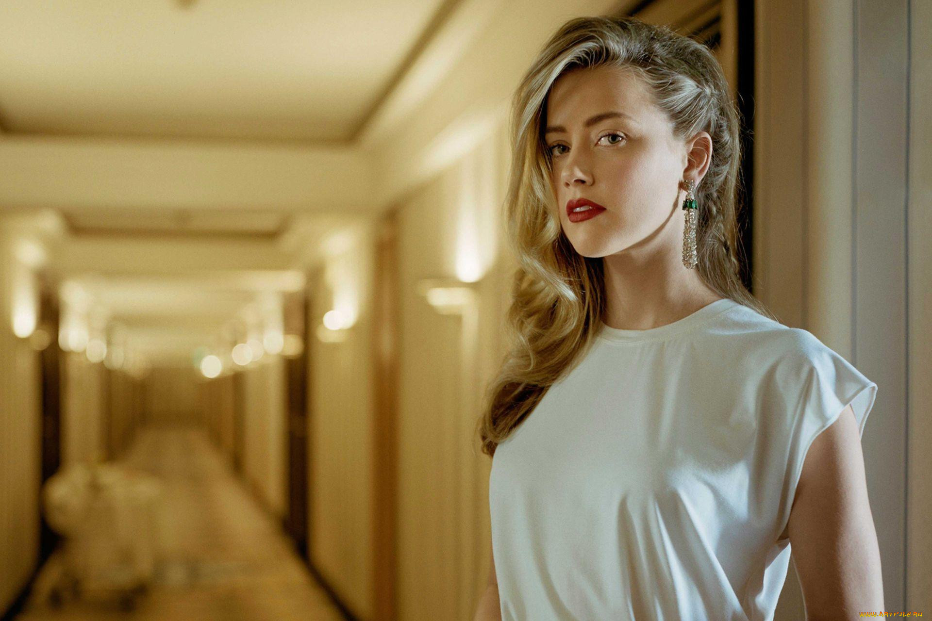 amber heard, , amber, heard